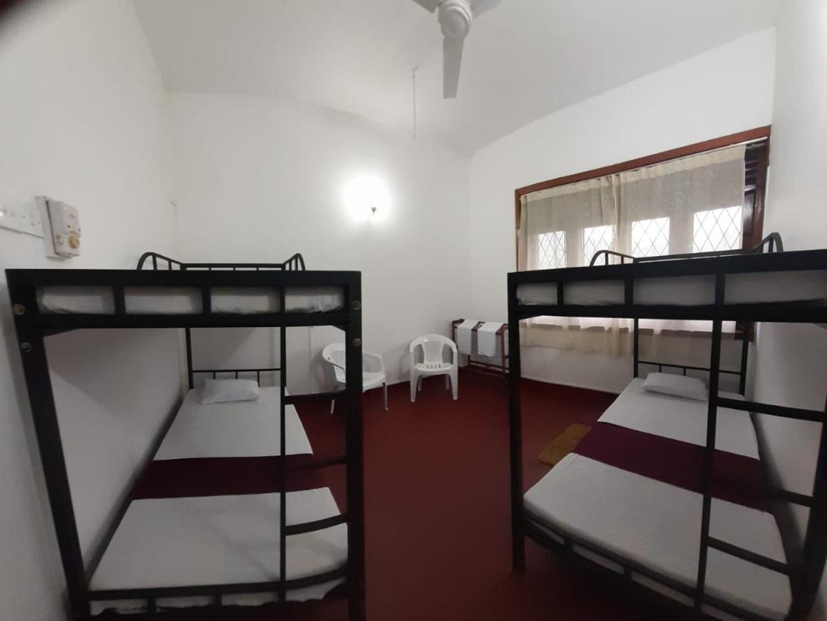 Lazy Bear Best Hostel In 康提 外观 照片
