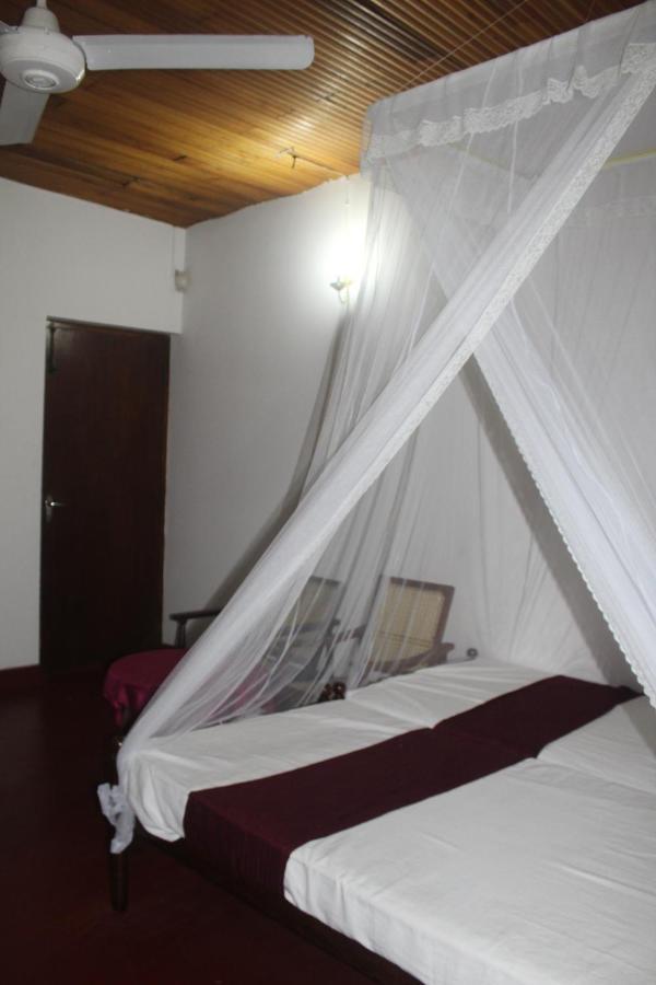 Lazy Bear Best Hostel In 康提 外观 照片
