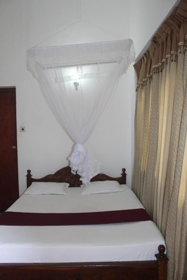 Lazy Bear Best Hostel In 康提 外观 照片
