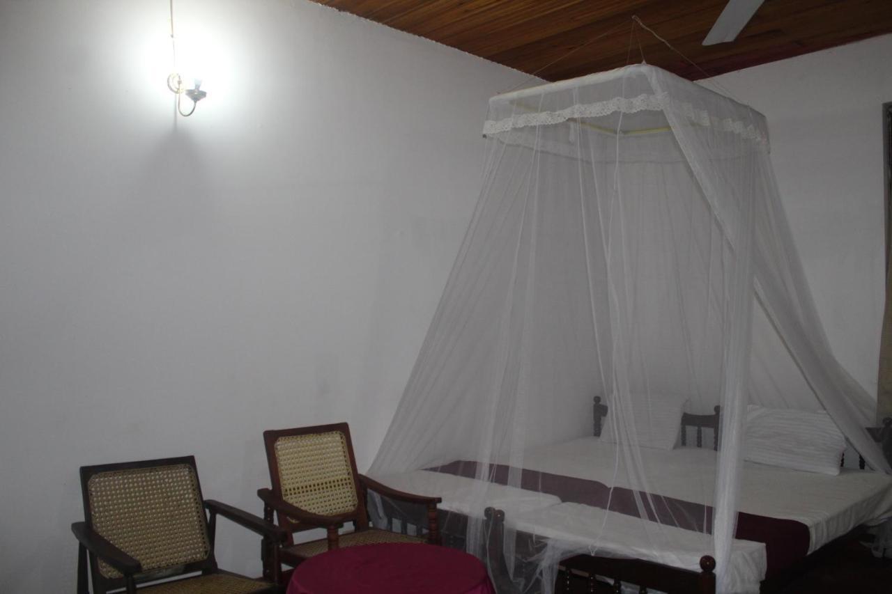 Lazy Bear Best Hostel In 康提 外观 照片