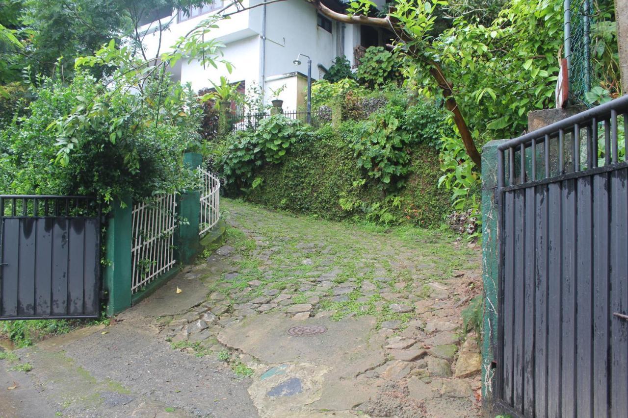 Lazy Bear Best Hostel In 康提 外观 照片