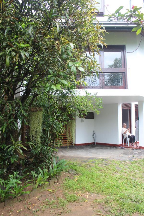Lazy Bear Best Hostel In 康提 外观 照片