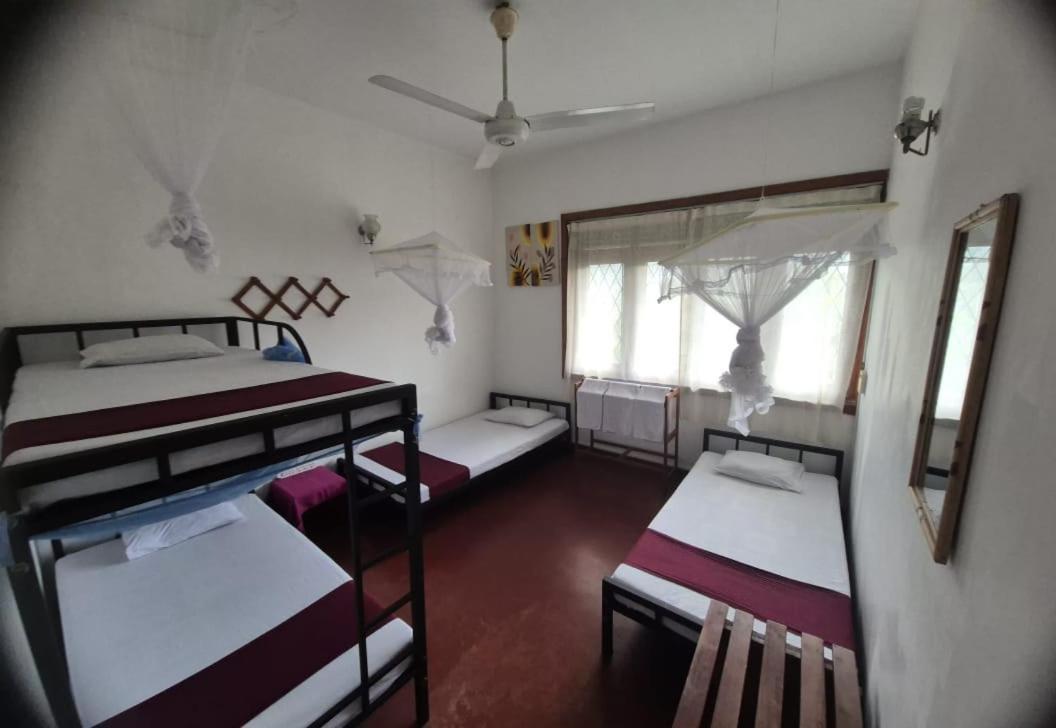 Lazy Bear Best Hostel In 康提 外观 照片