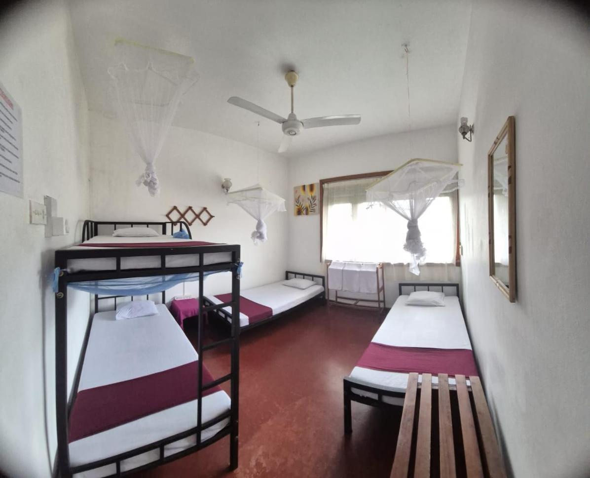 Lazy Bear Best Hostel In 康提 外观 照片