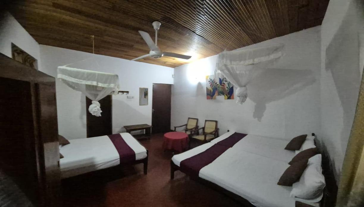 Lazy Bear Best Hostel In 康提 外观 照片