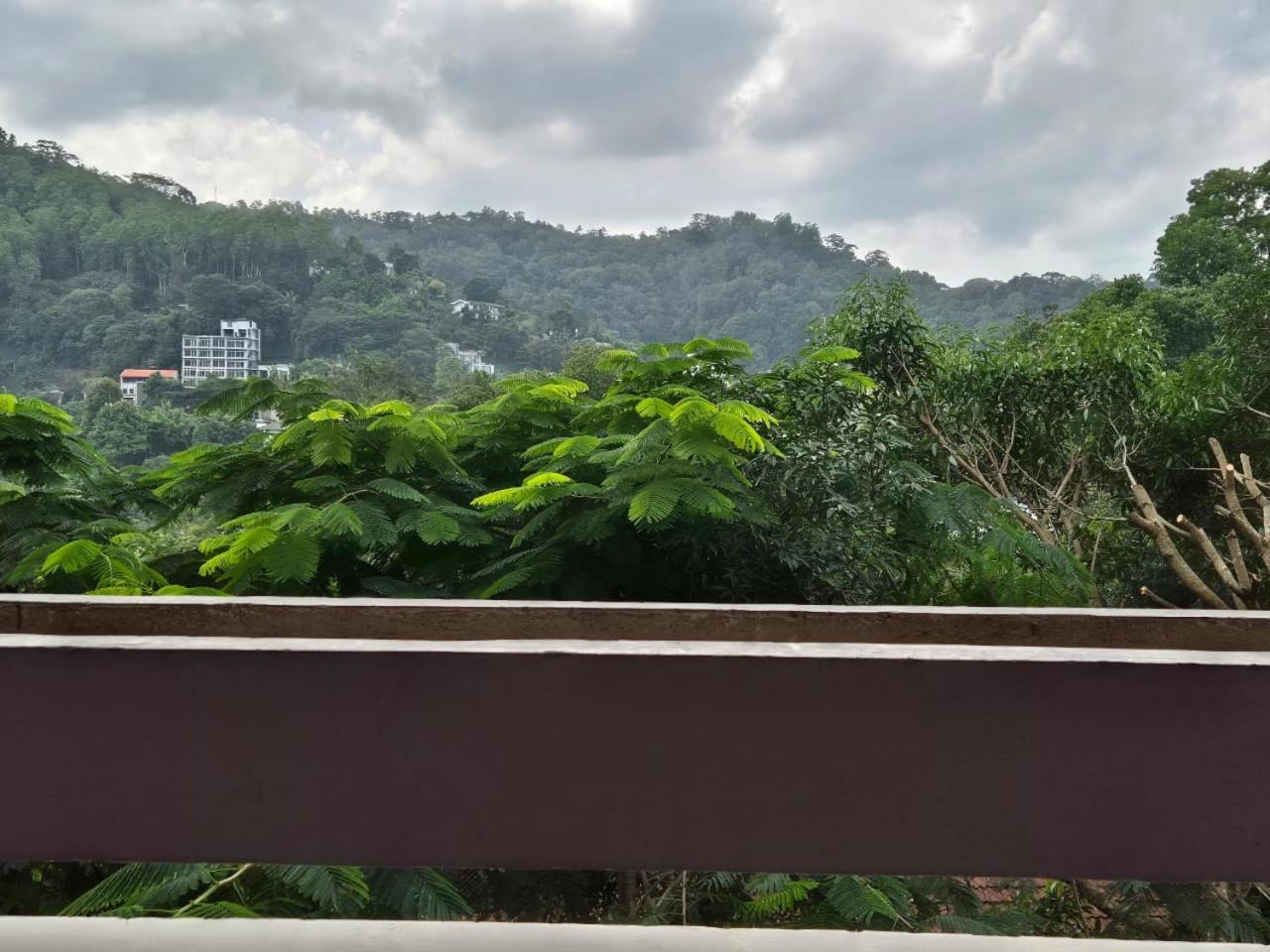 Lazy Bear Best Hostel In 康提 外观 照片