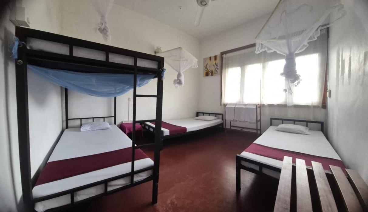 Lazy Bear Best Hostel In 康提 外观 照片