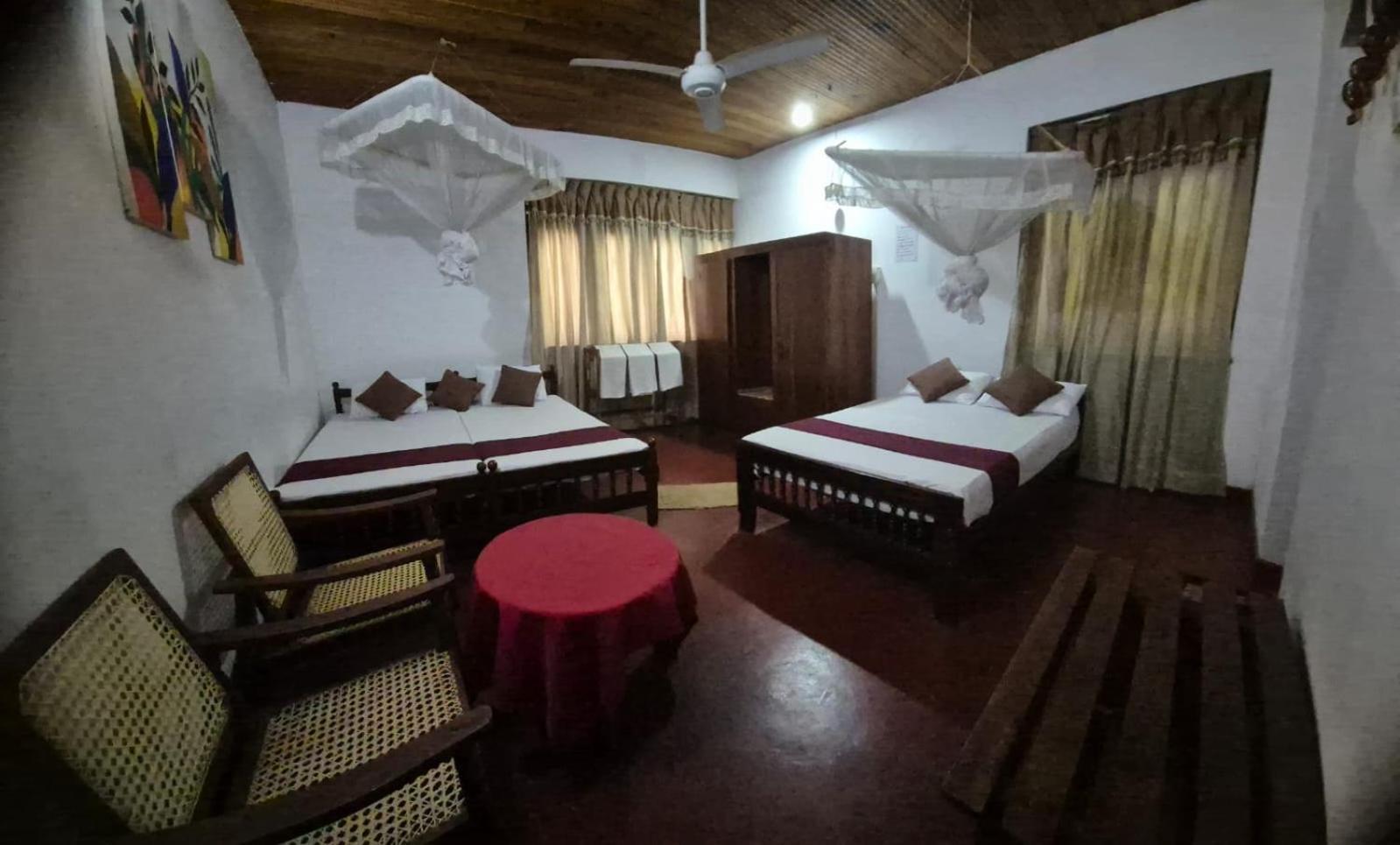 Lazy Bear Best Hostel In 康提 外观 照片